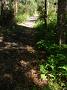 crowdy-national-park 032